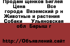 Продам щенков Биглей › Цена ­ 15 000 - Все города, Вяземский р-н Животные и растения » Собаки   . Ульяновская обл.,Барыш г.